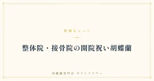 整体院・接骨院の開院祝い胡蝶蘭を解説するバナー