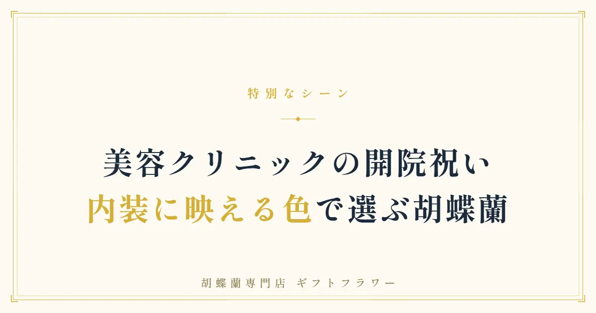美容皮膚科の開院祝いに贈る色とりどりの胡蝶蘭