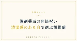 調剤薬局の開局祝いに贈る白い胡蝶蘭