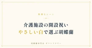介護施設の開設祝いに贈る白い胡蝶蘭