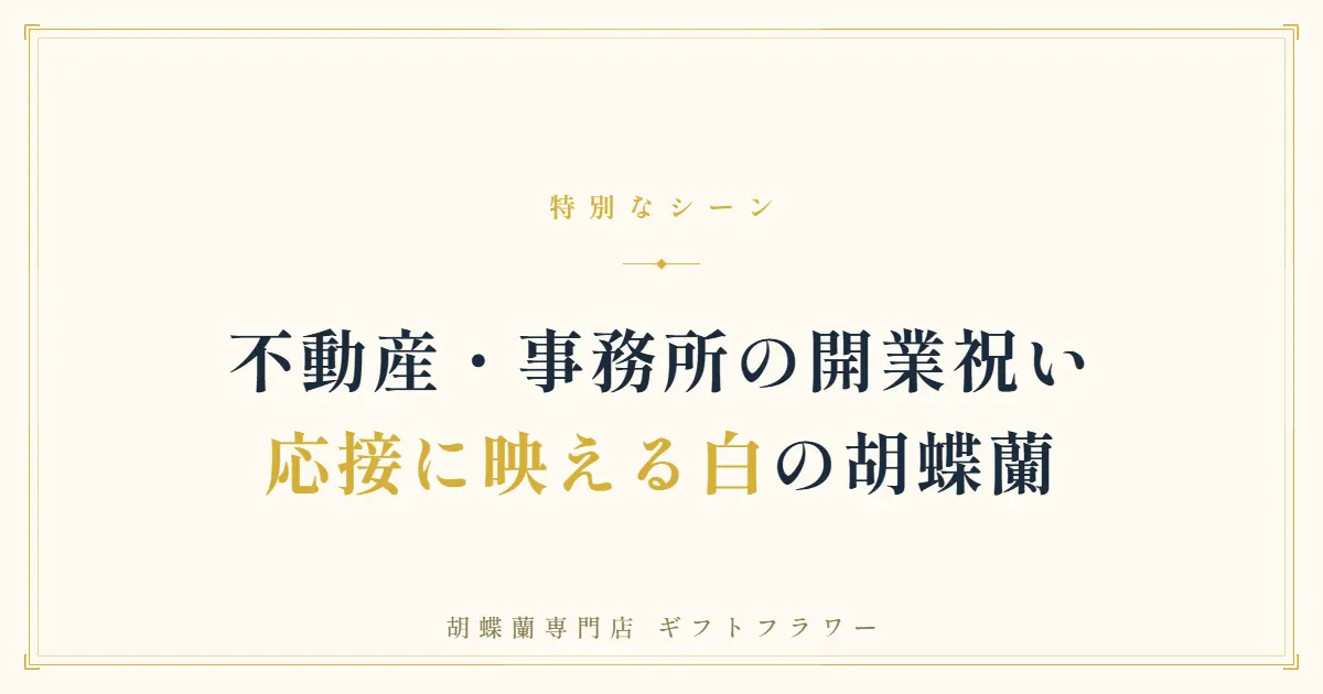 不動産会社の開業祝いに贈る白い胡蝶蘭