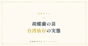 胡蝶蘭の苗の産地と国際リレー栽培を解説するタイトルバナー
