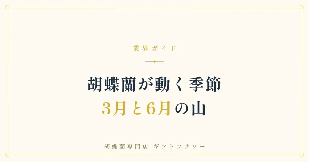 胡蝶蘭の需要が集中する繁忙期を解説するタイトルバナー