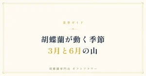 胡蝶蘭の需要が集中する繁忙期を解説するタイトルバナー