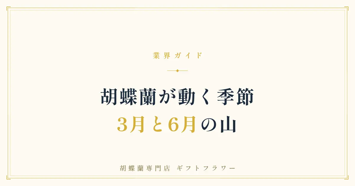 胡蝶蘭の需要が集中する繁忙期を解説するタイトルバナー