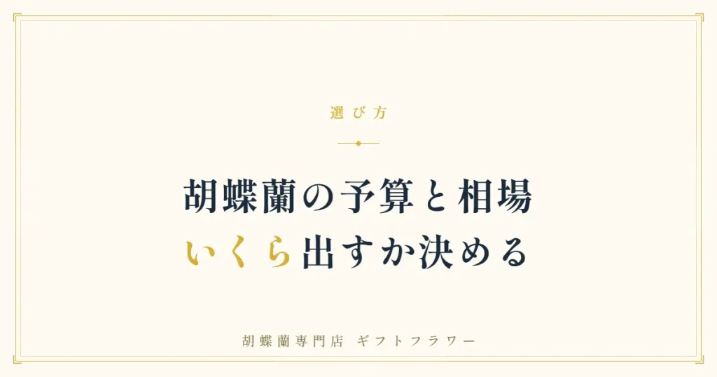 胡蝶蘭の予算と相場の目安を解説するタイトルバナー