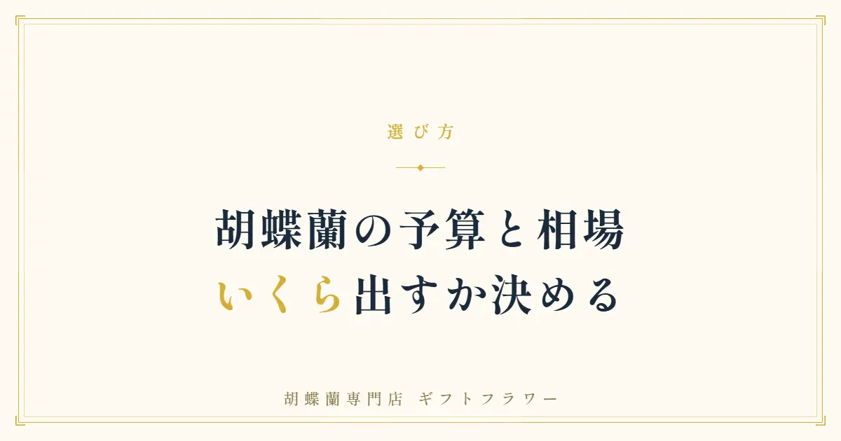 胡蝶蘭の予算と相場の目安を解説するタイトルバナー