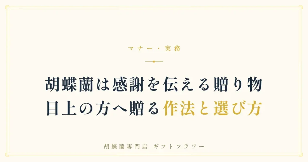 目上への胡蝶蘭の贈り方を解説するタイトルバナー