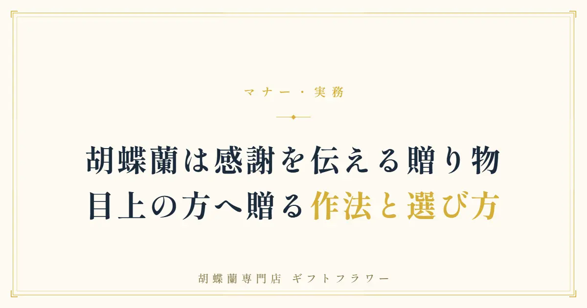 目上への胡蝶蘭の贈り方を解説するタイトルバナー
