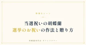 当選祝い・陣中見舞いの胡蝶蘭の選び方を解説するタイトルバナー
