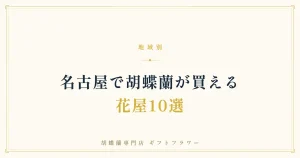 名古屋で胡蝶蘭が買える花屋10選を解説するタイトルバナー