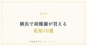 横浜で胡蝶蘭が買える花屋10選を解説するタイトルバナー