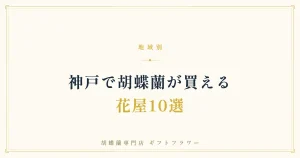 神戸で胡蝶蘭が買える花屋10選を解説するタイトルバナー