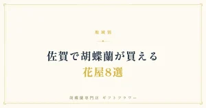 佐賀で胡蝶蘭が買える花屋8選を紹介するタイトルバナー
