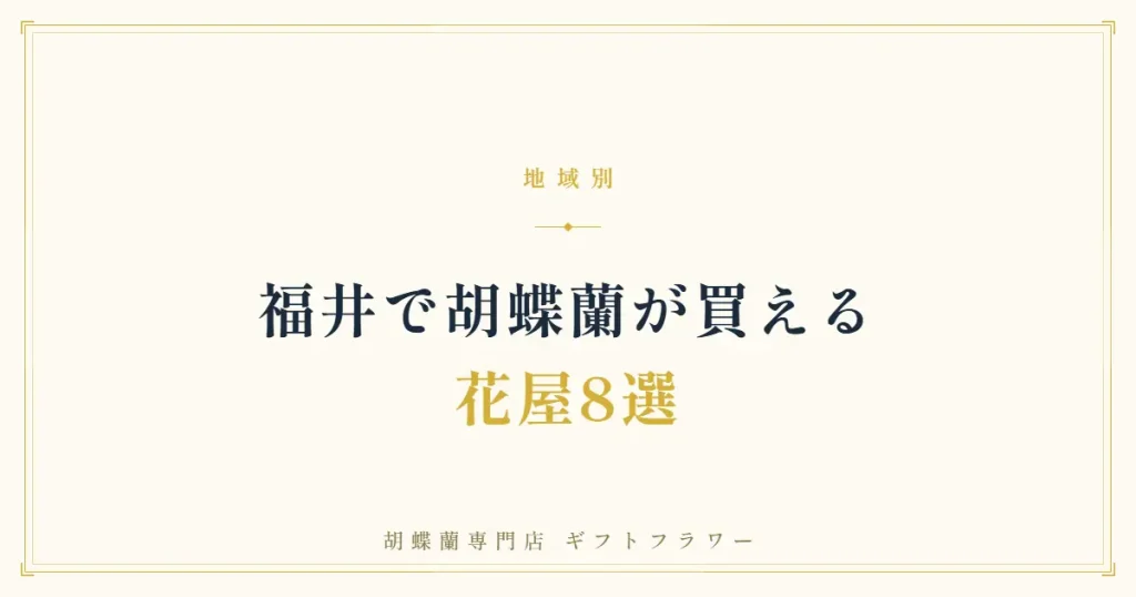 福井で胡蝶蘭が買える花屋8選を紹介するタイトルバナー