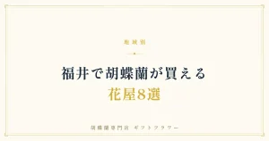 福井で胡蝶蘭が買える花屋8選を紹介するタイトルバナー