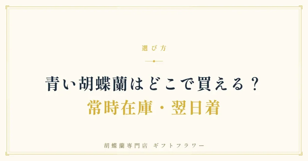 青い胡蝶蘭がどこで買えるかを解説するタイトルバナー