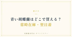 青い胡蝶蘭がどこで買えるかを解説するタイトルバナー