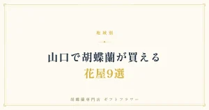 山口で胡蝶蘭が買える花屋9選を紹介するタイトルバナー