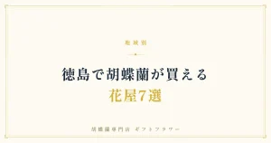 徳島で胡蝶蘭が買える花屋7選を紹介するタイトルバナー