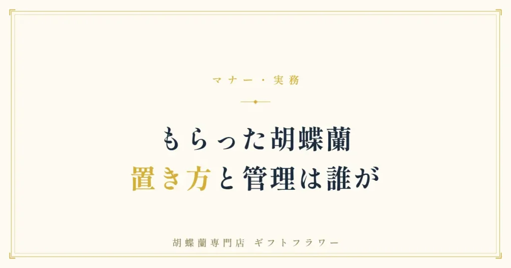 就任祝いでもらった胡蝶蘭の扱いを解説するバナー