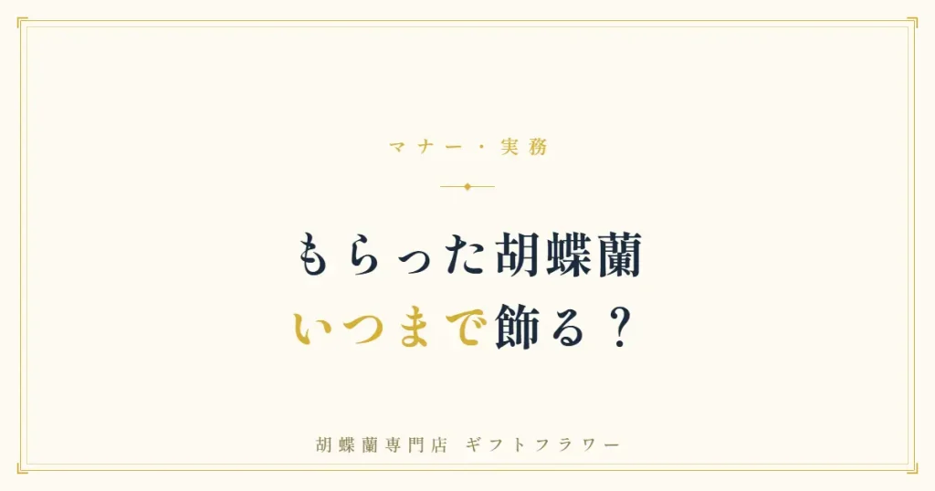 もらった胡蝶蘭をいつまで飾るか解説するバナー