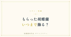 もらった胡蝶蘭をいつまで飾るか解説するバナー
