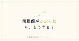 胡蝶蘭がかぶっても問題ない理由を解説するバナー