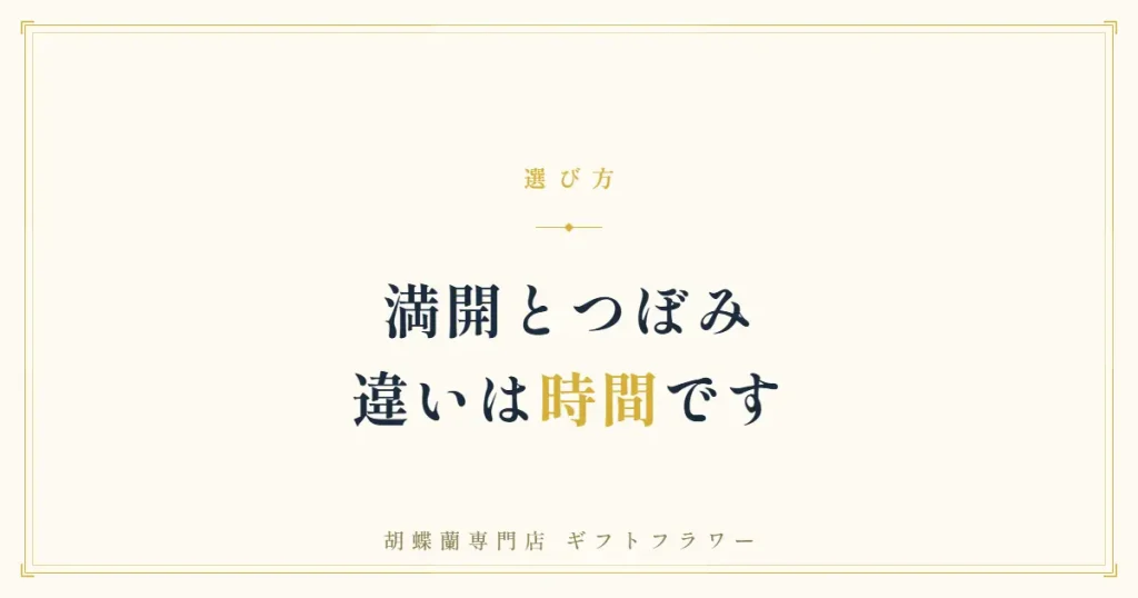 満開とつぼみの胡蝶蘭の違いを解説するタイトルバナー