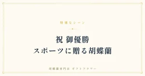 社会人スポーツの優勝祝いに贈る白い胡蝶蘭