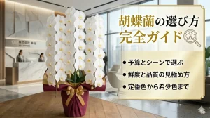 胡蝶蘭の選び方完全ガイド・本社受付に届いた白の大輪胡蝶蘭3本立ち