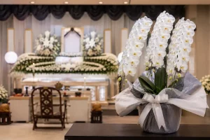 お通夜の斎場の祭壇横に届いた御供の白胡蝶蘭3本立ち