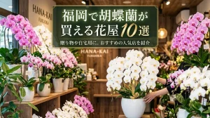 福岡で胡蝶蘭が買える花屋10選 白とピンクの大輪が並ぶ店内