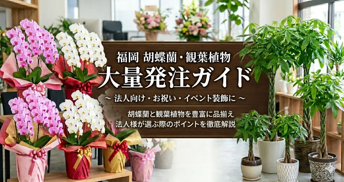 福岡で胡蝶蘭・観葉植物を法人まとめ発注 オフィスに並ぶ大輪とパキラ
