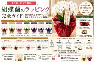 無料で選べる胡蝶蘭ラッピング7色の比較