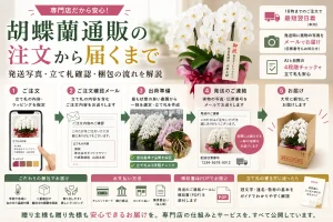 胡蝶蘭通販の注文から届くまでの流れ図