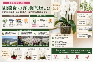 産地直送と生花店経由の流通経路の違い