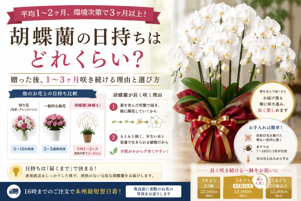 胡蝶蘭の日持ち期間1〜3ヶ月の目安図