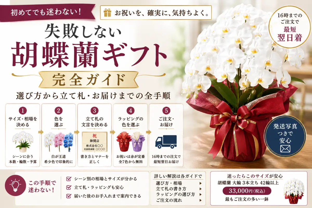 胡蝶蘭ギフトを贈る5つの手順の図解