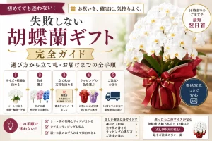 胡蝶蘭ギフトを贈る5つの手順の図解