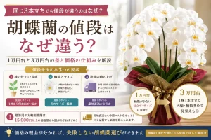 胡蝶蘭の値段を決める3つの要素の図解
