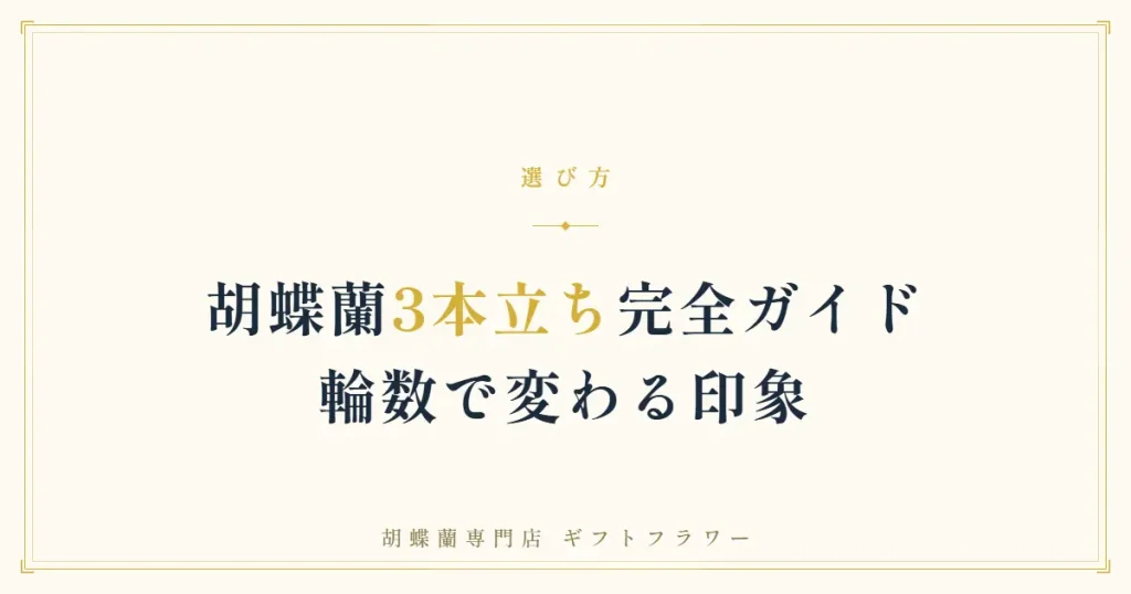 開店祝いに贈られた白の大輪胡蝶蘭3本立ち42輪