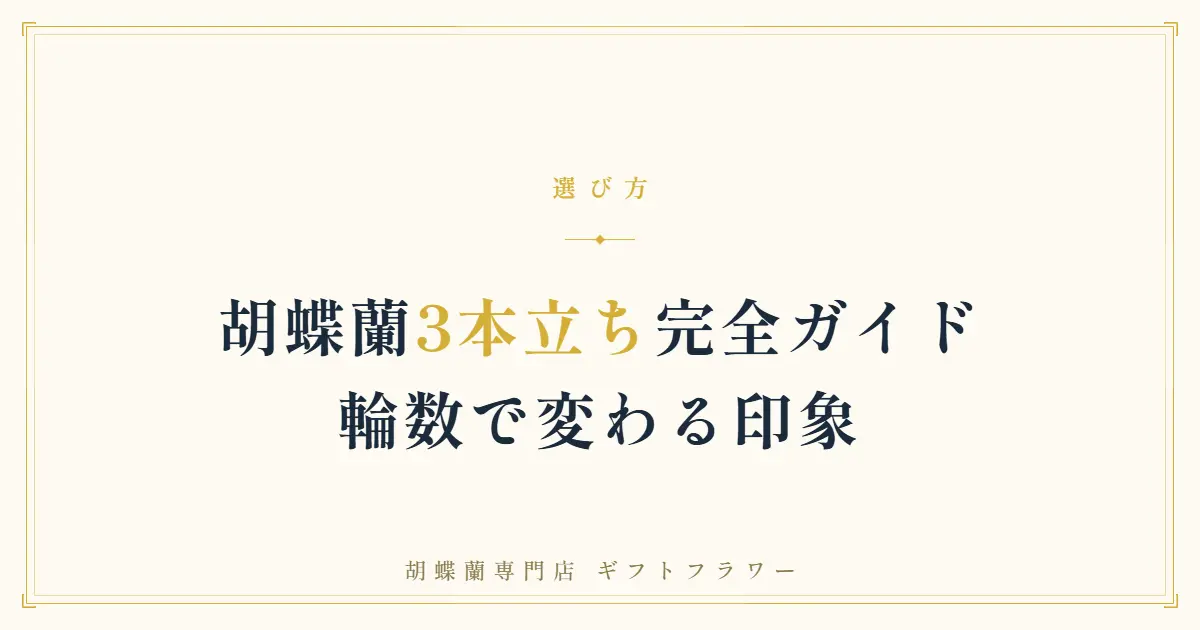 開店祝いに贈られた白の大輪胡蝶蘭3本立ち42輪
