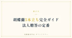 役員就任祝いに贈られた白の大輪胡蝶蘭5本立ち70輪