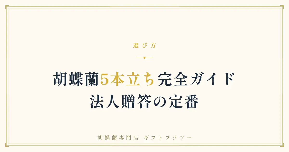 役員就任祝いに贈られた白の大輪胡蝶蘭5本立ち70輪