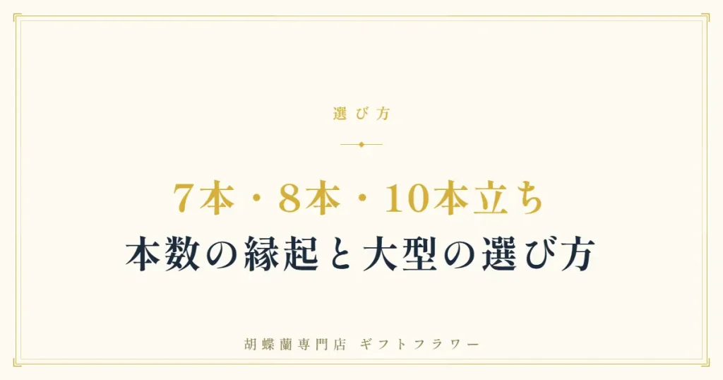 末広がりの縁起を込めた白の大輪胡蝶蘭8本立ち