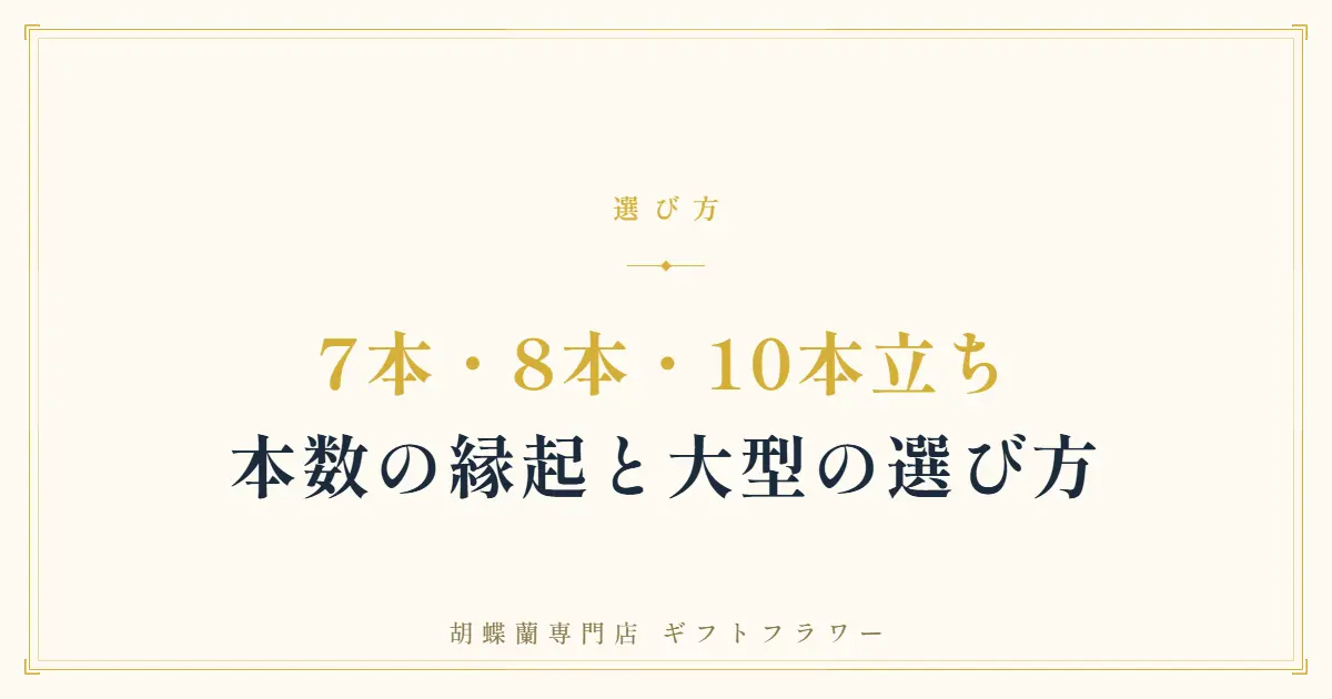 末広がりの縁起を込めた白の大輪胡蝶蘭8本立ち