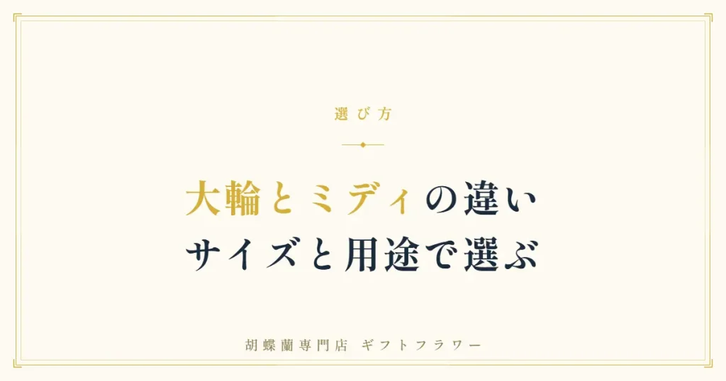 胡蝶蘭の大輪とミディの違いを解説するタイトルバナー