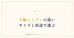 胡蝶蘭の大輪とミディの違いを解説するタイトルバナー