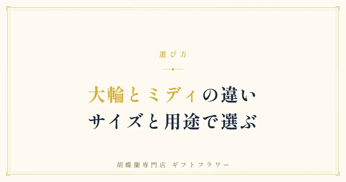 胡蝶蘭の大輪とミディの違いを解説するタイトルバナー